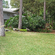 Picture 008